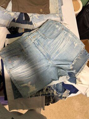 AG The Bryn Ex Boyfriend Cut Off Shorts Light Wash Distressed Raw Hem Womens 27